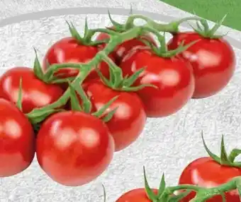 Spar Spar Midi-Rispentomaten Angebot