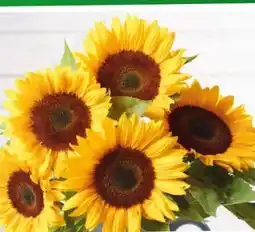 Eurospar Sonnenblumenstrauß Angebot