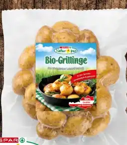 Eurospar Spar Natur pur Bio-Grillinge Angebot