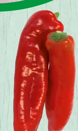 Spar Spar Natur pur Bio-Spitzpaprika Angebot
