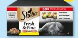 T&G Sheba Katzennahrung Fresh-Fine Angebot