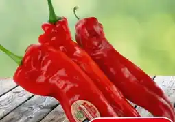 Eurospar Spar Natur pur Bio-Spitzpaprika Angebot
