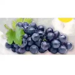 T&G Trauben blau T&G Angebot