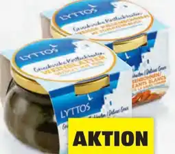 Hofer Lyttos Griechische Köstlichkeiten Angebot