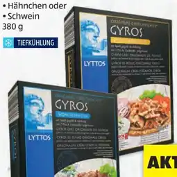 Hofer Lyttos Gyros mit Pita Angebot