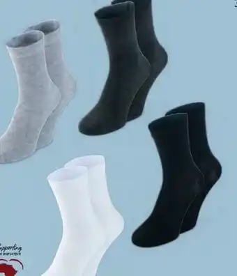 Hofer Up 2 Fashion Damen-Socken Angebot