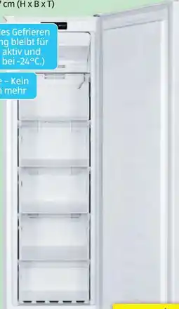 Hofer Gorenje Nofrost Stand-Gefrierschrank FN4172CW Angebot