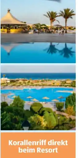 Hofer Hofer-Reisen Ägypten-Marsa Alam Angebot