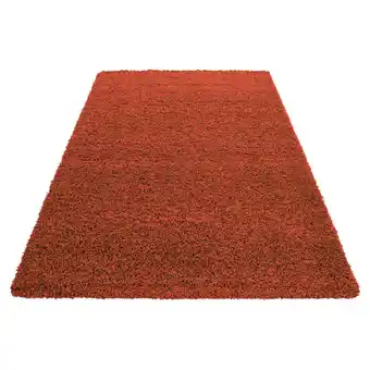 XXXLutz Hochflorteppich Life 1500 Angebot