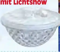 Zgonc Maldive LED-Pool Fontäne mit Lichtshow Angebot