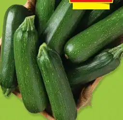 Hofer Hofer Marktplatz Zucchini Angebot