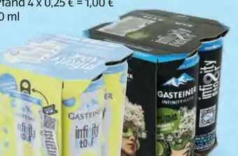 Hofer Gasteiner Infinity Water Angebot