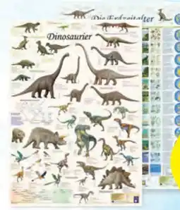 Hofer Kinderposter-Set Angebot