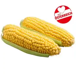 PENNY ZUCKERMAIS Penny Angebot
