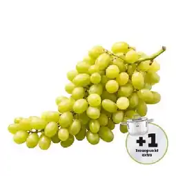 PENNY Trauben weiss, kernlos Penny Angebot