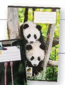 Lidl Heft A5 Angebot