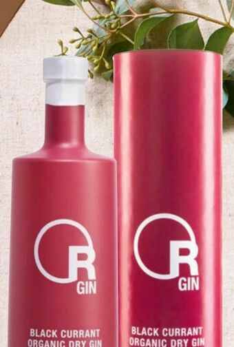Eurospar Organic Dry Gin Angebot