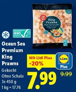 Lidl Ocean Sea Premium King Prawns Angebot