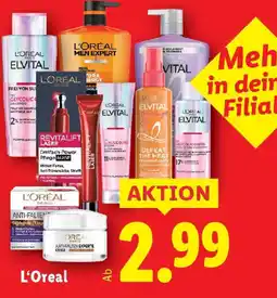 Lidl L'Oreal Angebot