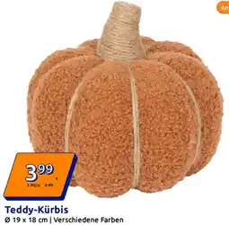 Action Teddy-Kürbis Angebot
