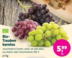 Denn's Biomarkt Trauben kernlos Angebot