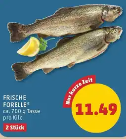 PENNY Frische forelle Angebot
