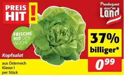 Nah&Frisch Kopfsalat Angebot