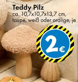 TEDi Teddy Pilz Angebot