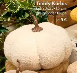 TEDi Teddy Kürbis Angebot