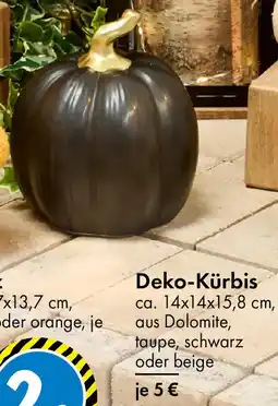 TEDi Deko Kürbis Angebot
