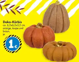 TEDi Deko Kürbis Angebot