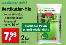 Thomas Philipps Vertikutiermacht den Rasen schnell wieder dicht Mix Angebot