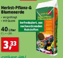 Thomas Philipps Herbst Pflanz & Blumenerde Angebot