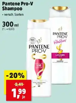 Thomas Philipps Pantene Pro-V Shampoo Angebot