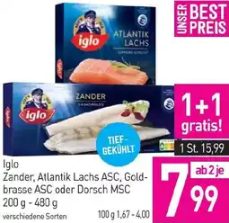 Sutterlüty iglo Zander, Atlantik Lachs ASC, Gold- brasse ASC oder Dorsch MSC Angebot