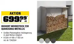 OBI Biohort woodstock 230 quarzgrau-metallic Angebot