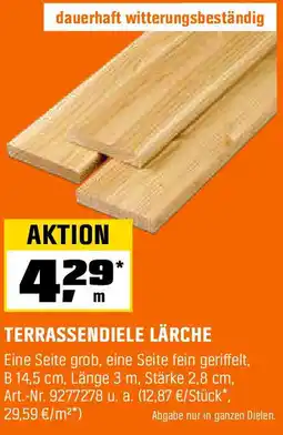 OBI Terrassendiele lärche Angebot