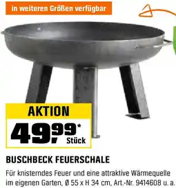 OBI Buschbeck feuerschale Angebot