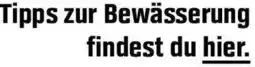 OBI Tipps zur Bewässerung findest du hier. Angebot