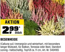 OBI Besenheide Angebot