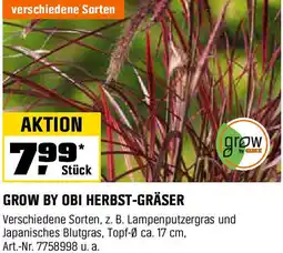 OBI Grow by obi herbst-gräser Angebot