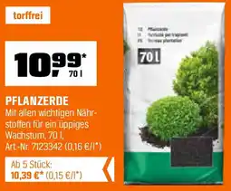 OBI Pflanzerde Angebot
