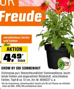 OBI Grow by obi sonnenhut Angebot