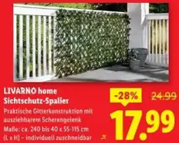 Lidl Livarno home sichtschutz-spalier Angebot