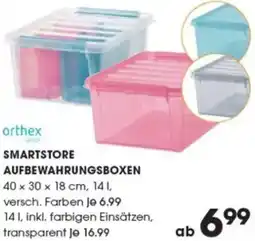 Libro Orthex smartstore aufbewahrungsboxen Angebot