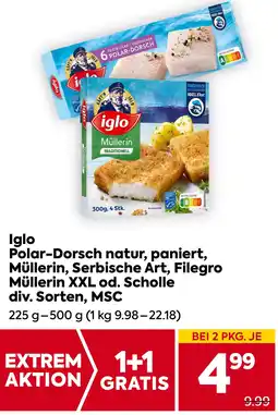 Billa Iglo Polar-Dorsch natur, paniert, Müllerin, Serbische Art, Filegro Müllerin XXL od. Scholle Angebot