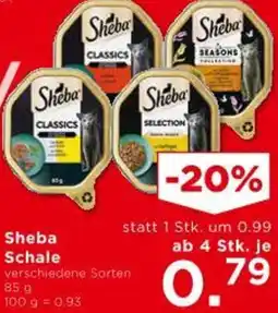 Unimarkt Sheba Schale Angebot