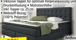 Norma Inter Handels Boxspringbett Köln Angebot