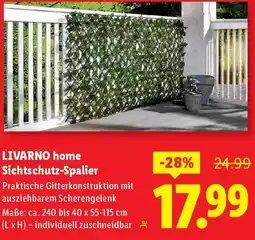 Lidl LIVARNO home Sichtschutz-Spalier Angebot