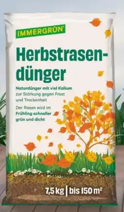 Lagerhaus Immergrün Herbstrasendünger Angebot